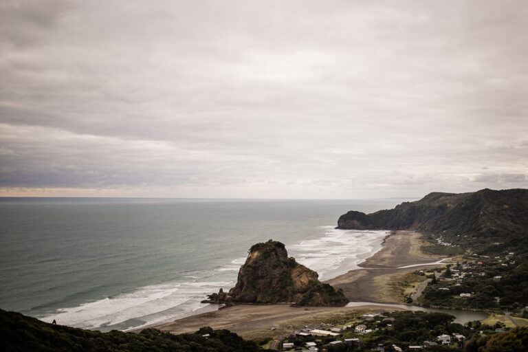 Piha beach, a rugged west coast beach in New Zealand