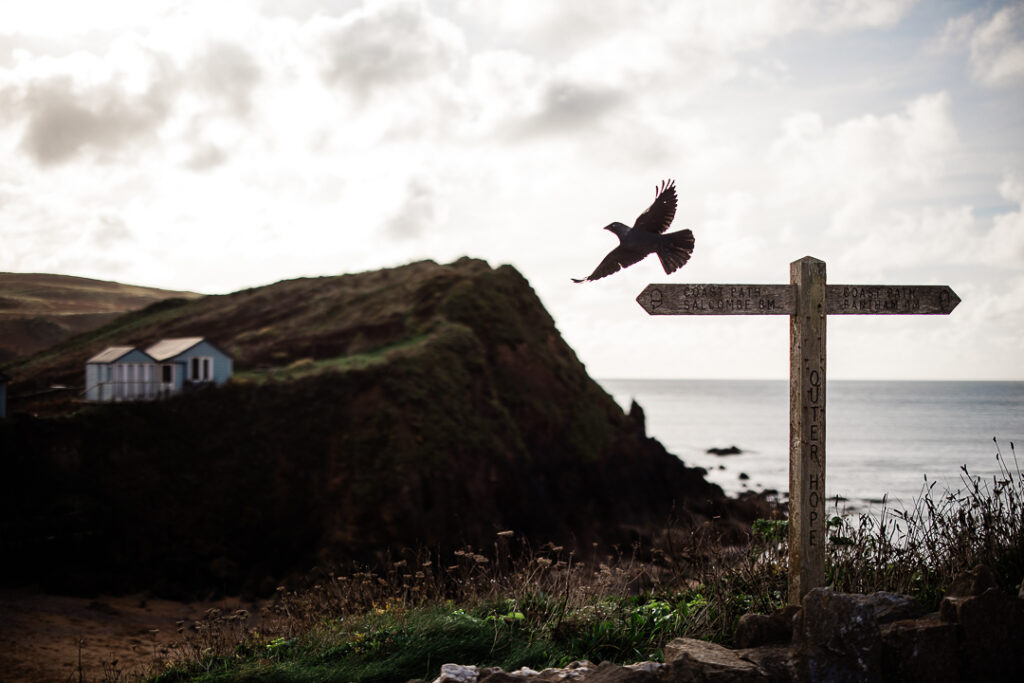 engagement-shoot-hope-cove-devon-17