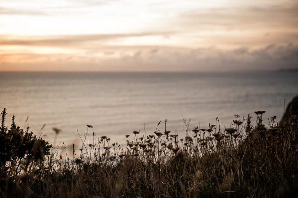 engagement-shoot-hope-cove-devon-49