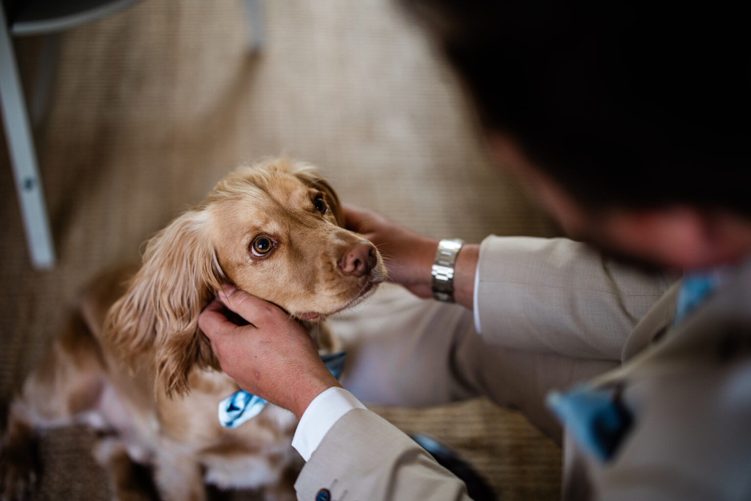 A groom and his dog, before the wedding ceremony captured by a wedding photographer UK, at The Great Barn