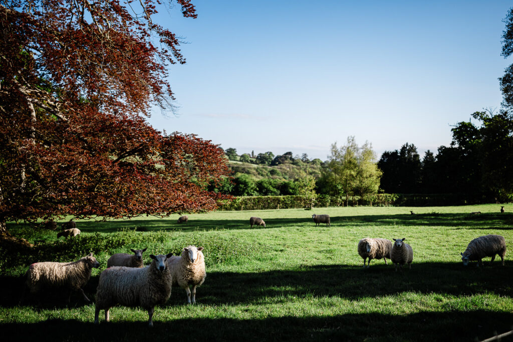 Pynes wedding venue in Devon