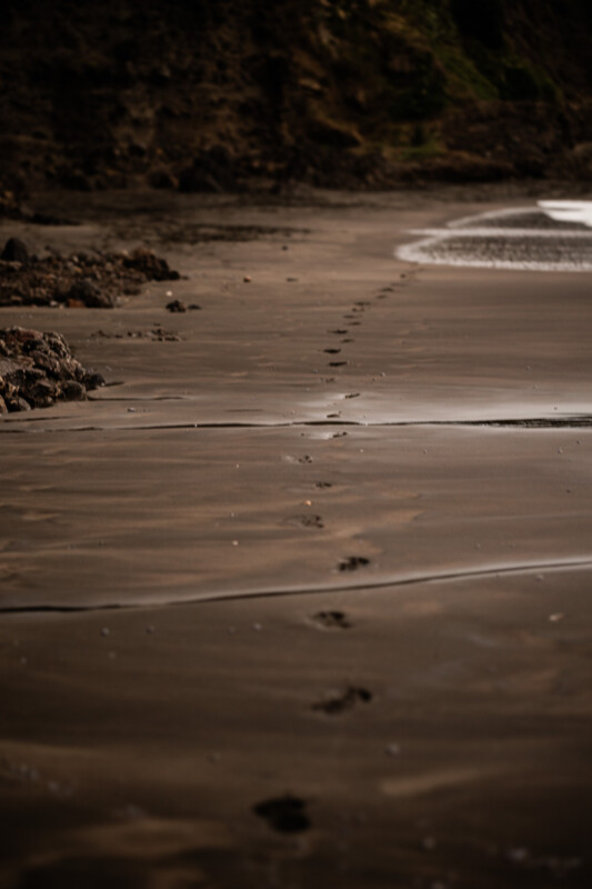 Footprints on Piha beach in NZ