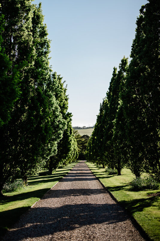 The driveway at Pynes House wedding venue