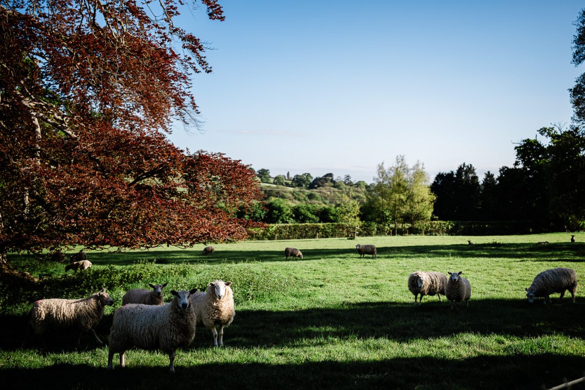 Pynes wedding venue in Devon